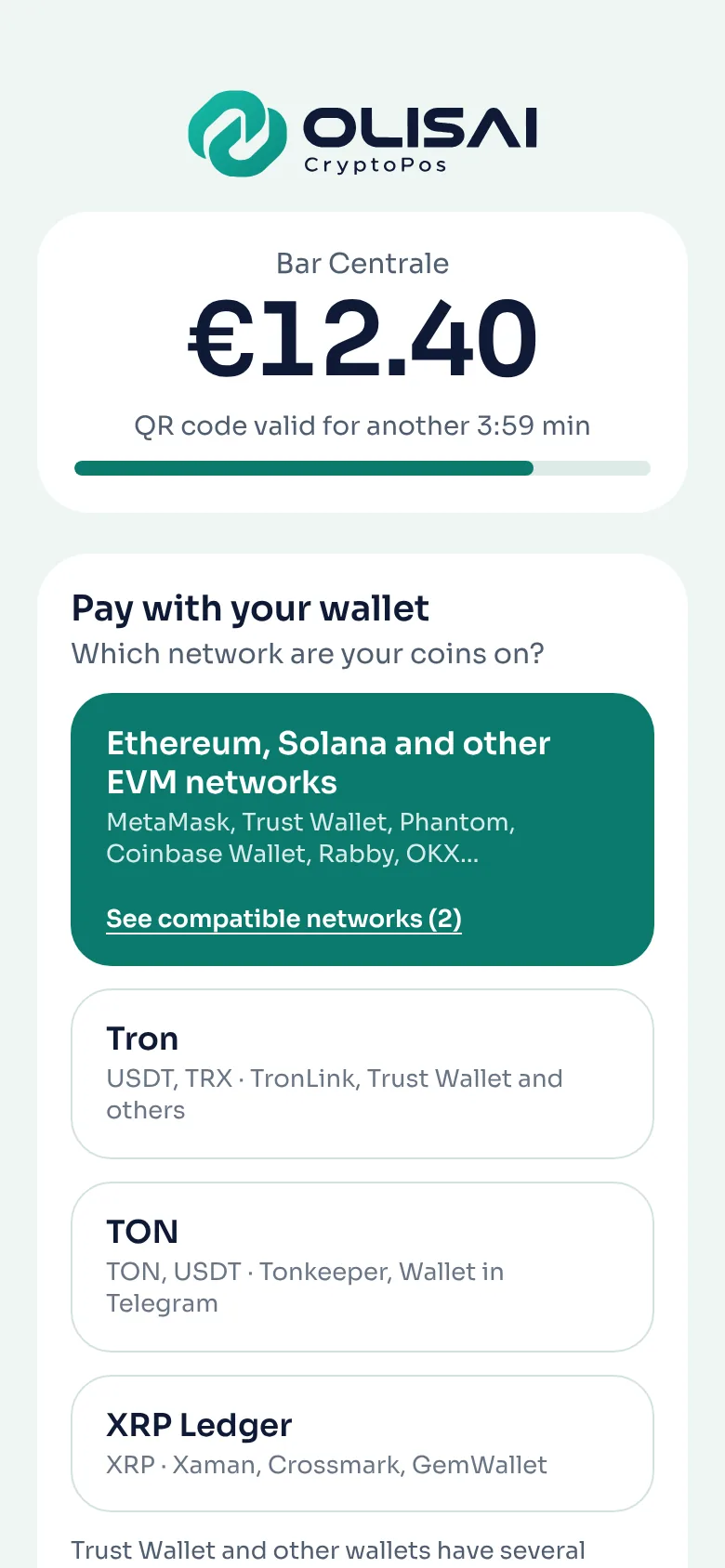 The payment page on the customer's phone: amount, time left on the QR code and choice of network